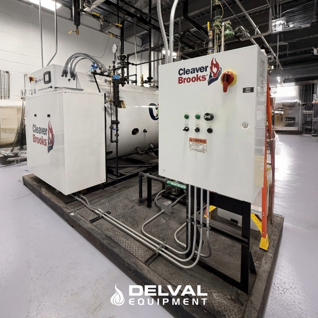 CFH Steam Skid System for Food Processing Facility