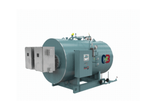 Model MVR Medium Voltage Boiler